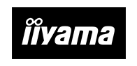 Iiyama